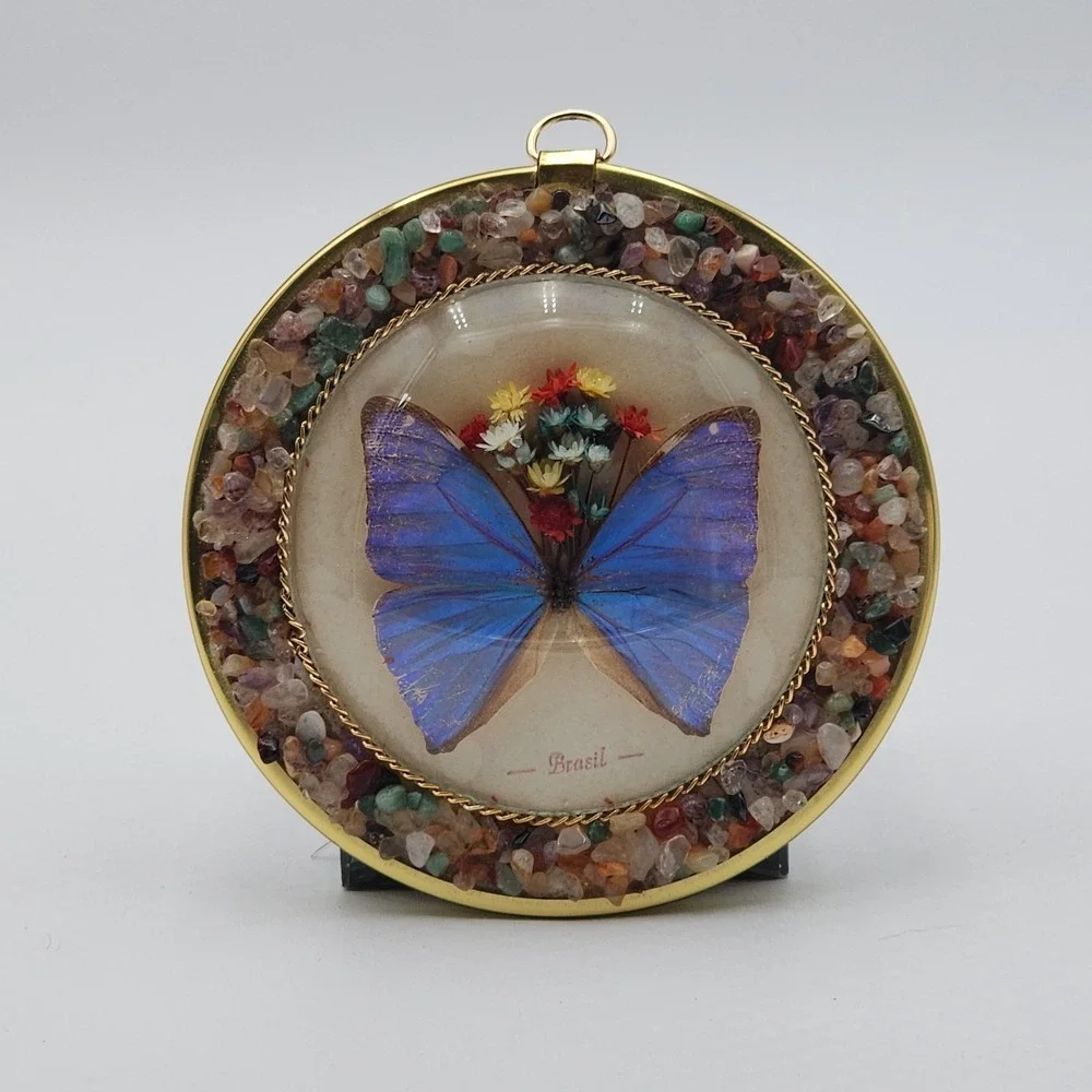 Brasil Butterfly Taxidermy Dried Flowers Wall Glass Bubble Convex Gemstone Frame
